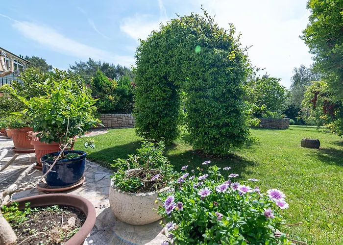 Apartment Apartments With Parking Space Pula - 2252 *